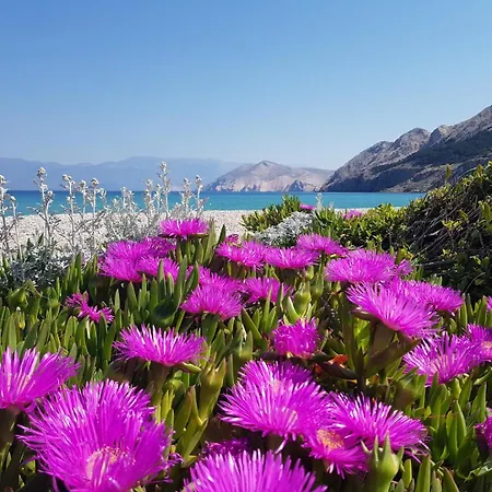 Mikulan 3* Baška