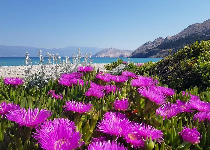 Mikulan 3* Baška